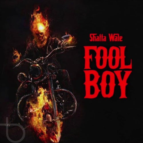 Fool Boy