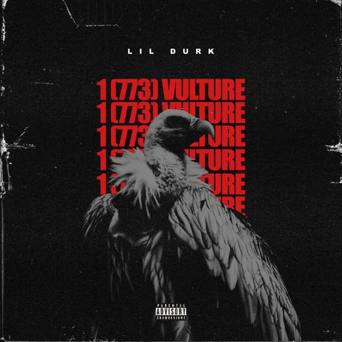 1(773) Vulture