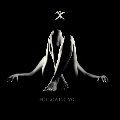 Following You (feat. Laryssa Birdseye)