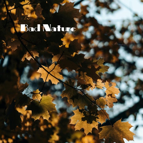 Bad Nature