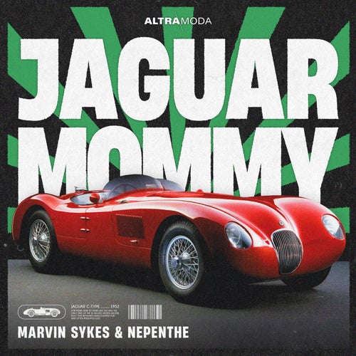 Jaguar Mommy