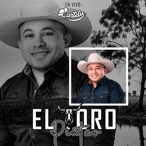 El Toro Pintao (En Vivo)