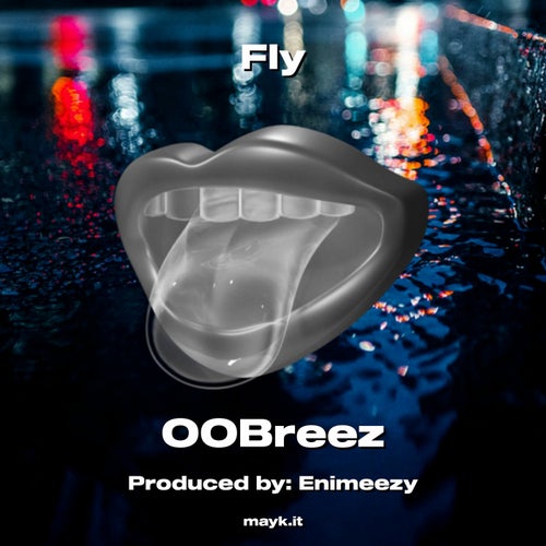 Fly