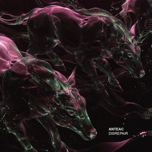 Disrepair EP