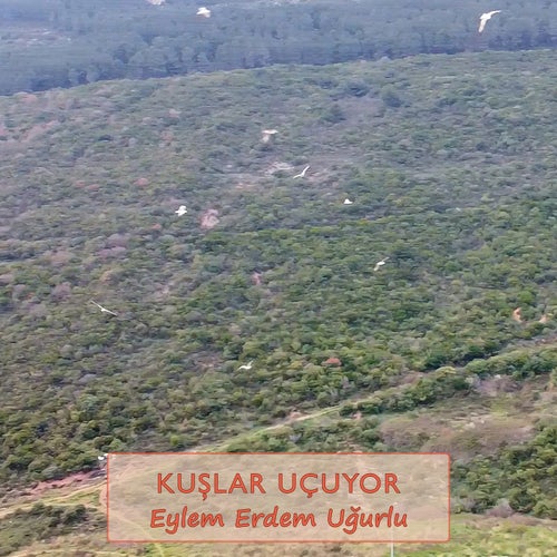 Kuşlar Uçuyor