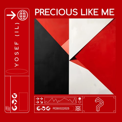 Precious Like Me