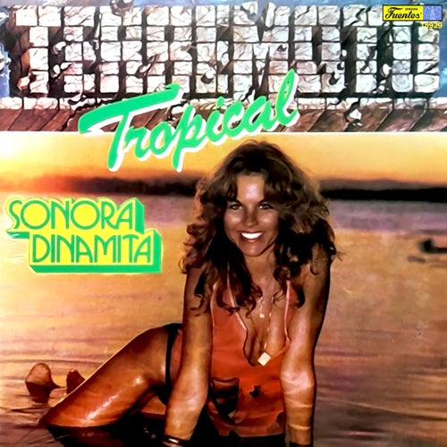 Terremoto Tropical