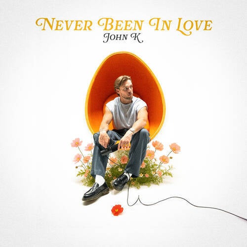 Never Been In Love