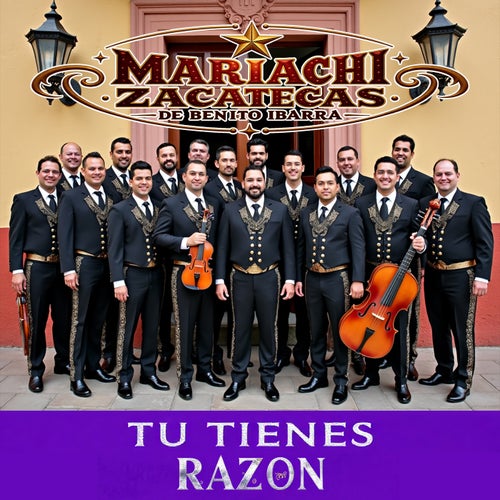 Tu Tienes Razon