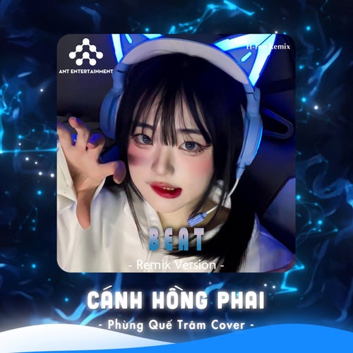 Cánh Hồng Phai (Beat)