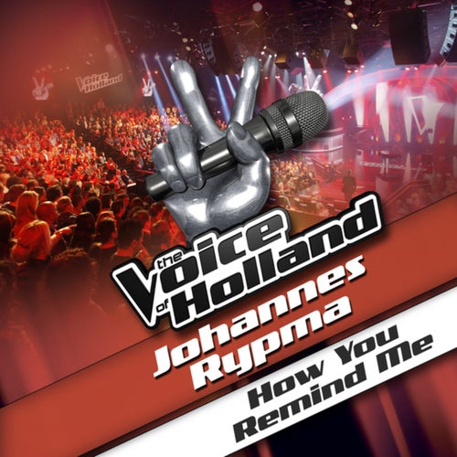 How You Remind Me (From The Voice Of Holland)