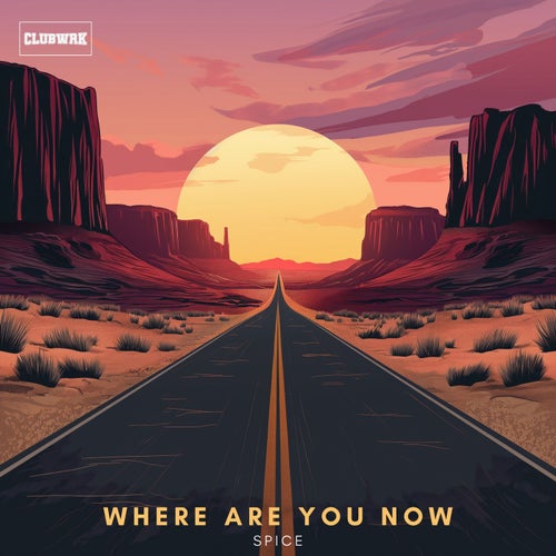 Where Are You Now (Extended Mix)