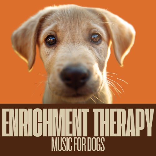 Enrichment Therapy Music for Dogs