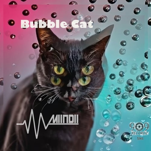 Bubble Cat