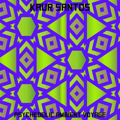 Psychedelic Ambient Voyage