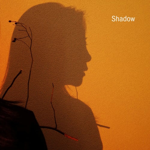 Shadow