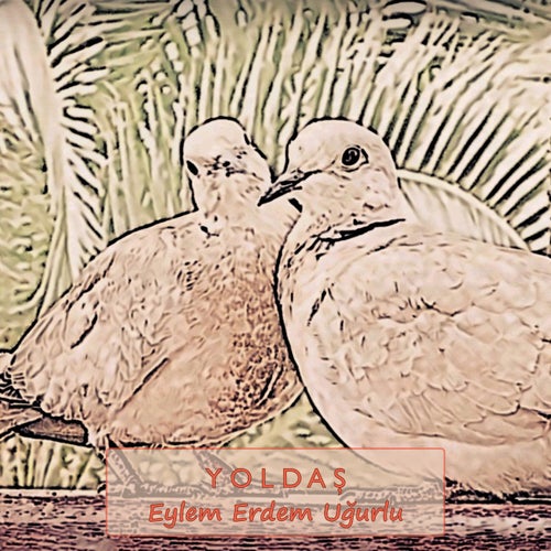 Yoldaş