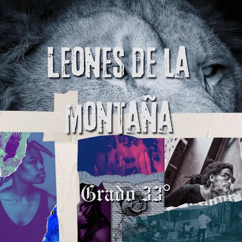 Leones de la Montaña