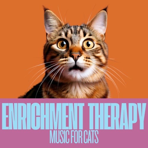 Enrichment Therapy Music for Cats