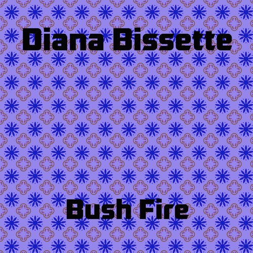 Bush Fire