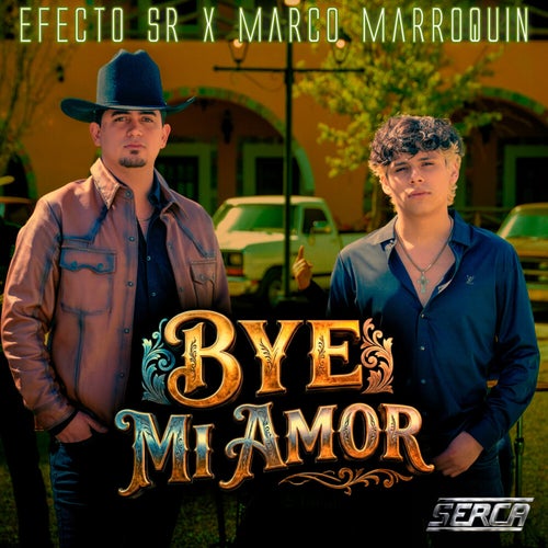 Bye Mi Amor