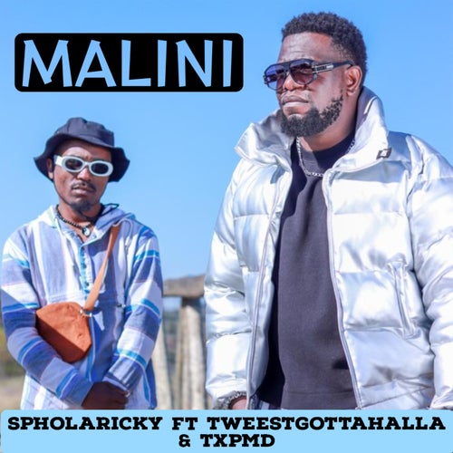Malini (feat. TxPMD & Tweestgottahalla)