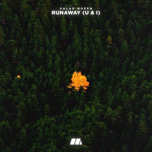 Runaway (U & I)