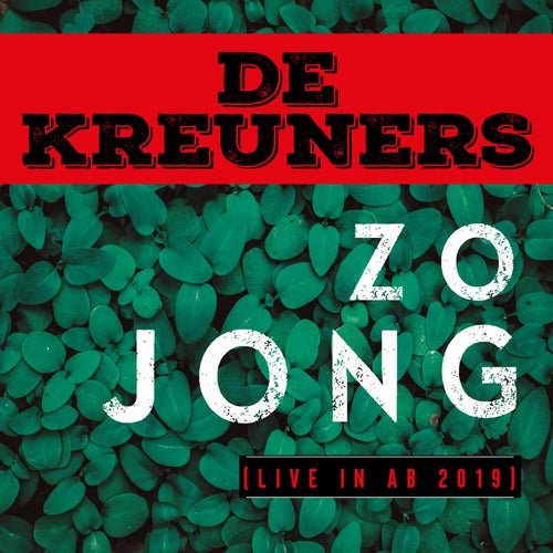 Zo jong (Live in AB 2019)