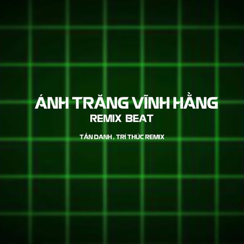 Ánh Trăng Vinh Hằng (Remix Beat)