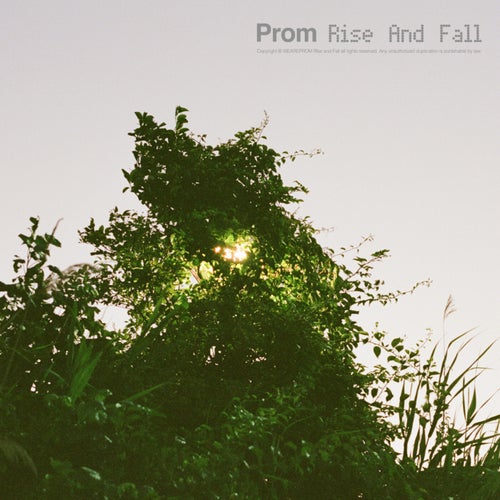 Rise and Fall