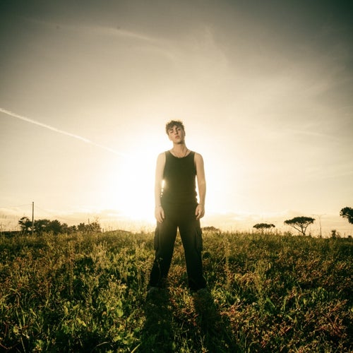 IL SOLE