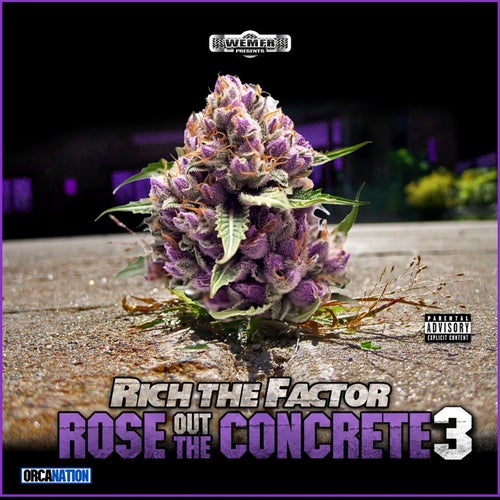 Release of the week
