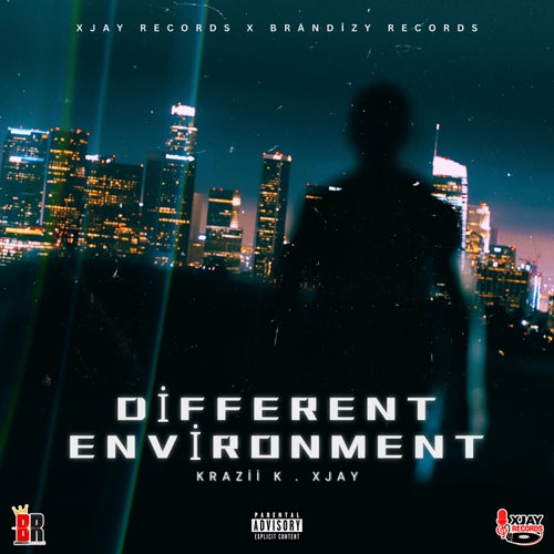 Different Environment
