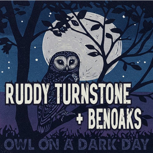 Owl on a Dark Day