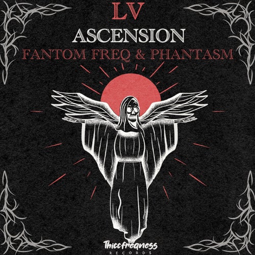 Release of the week