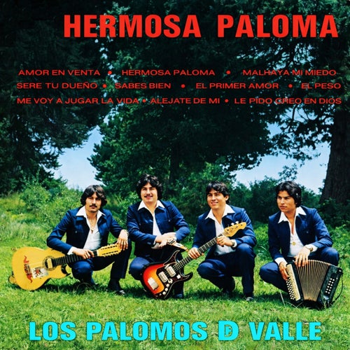 Hermosa paloma