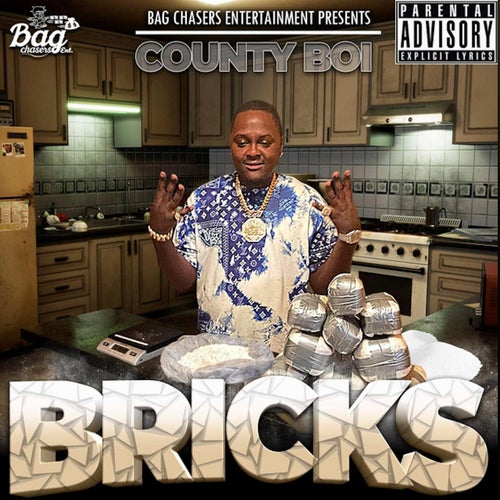 BRICKS