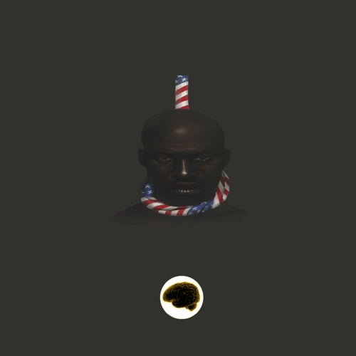 Black in America