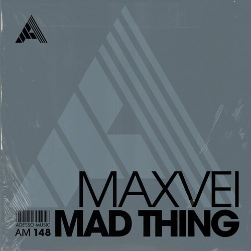 Mad Thing (Extended Mix)