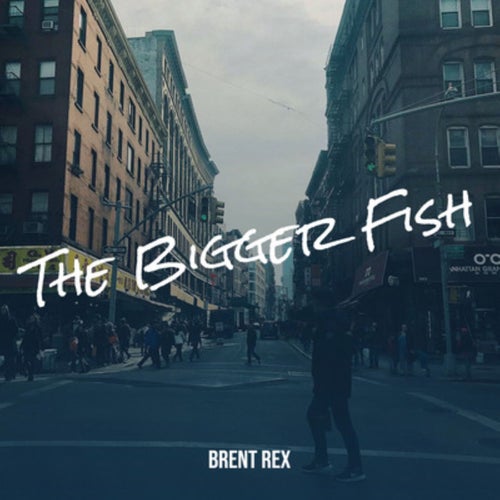 The Bigger Fish