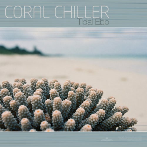 Tidal Ebb