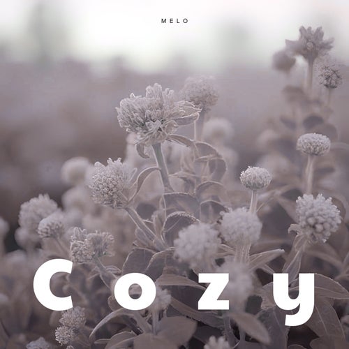 Cozy