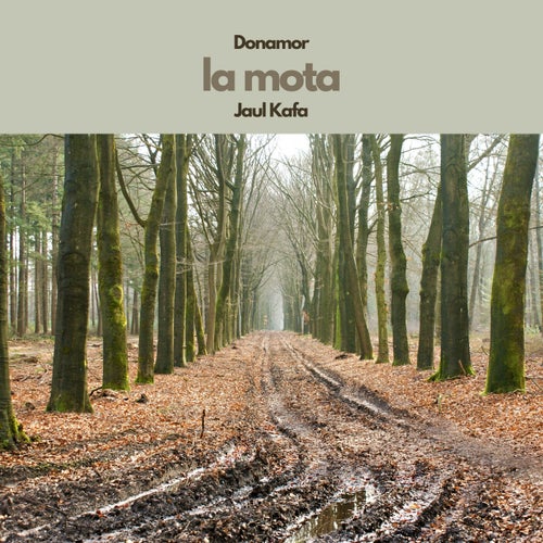 Release of the week