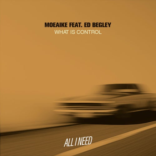 Release of the week