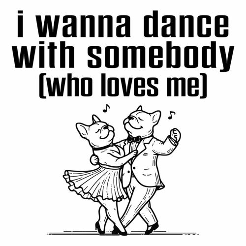 I Wanna Dance With Somebody (Who Loves Me) (Lo-Fi Instrumental)