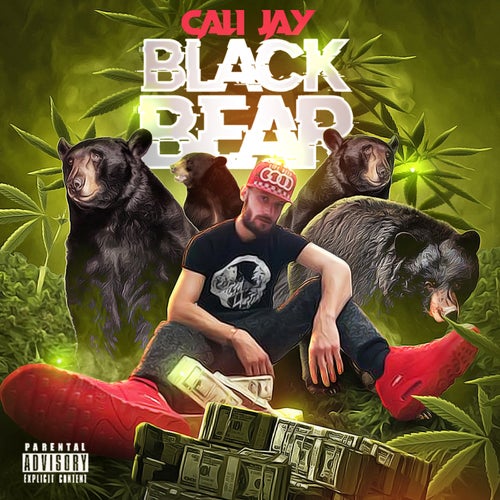 Black Bear