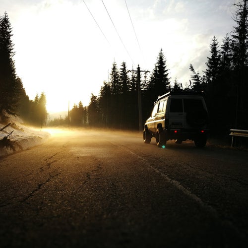 Analogue