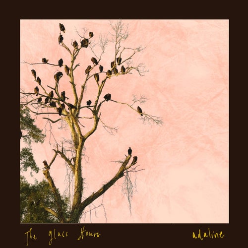 Release of the week