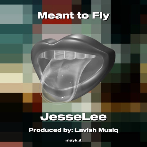 Meant to Fly