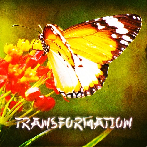 Zen & Relaxation: Transformation